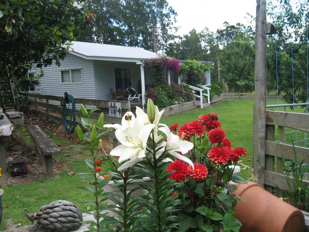 Miranda Orchard Cottage מראה חיצוני תמונה