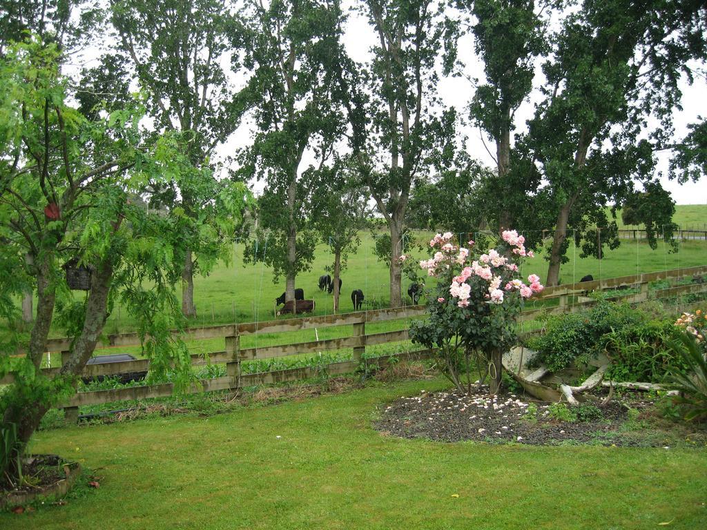 Miranda Orchard Cottage מראה חיצוני תמונה