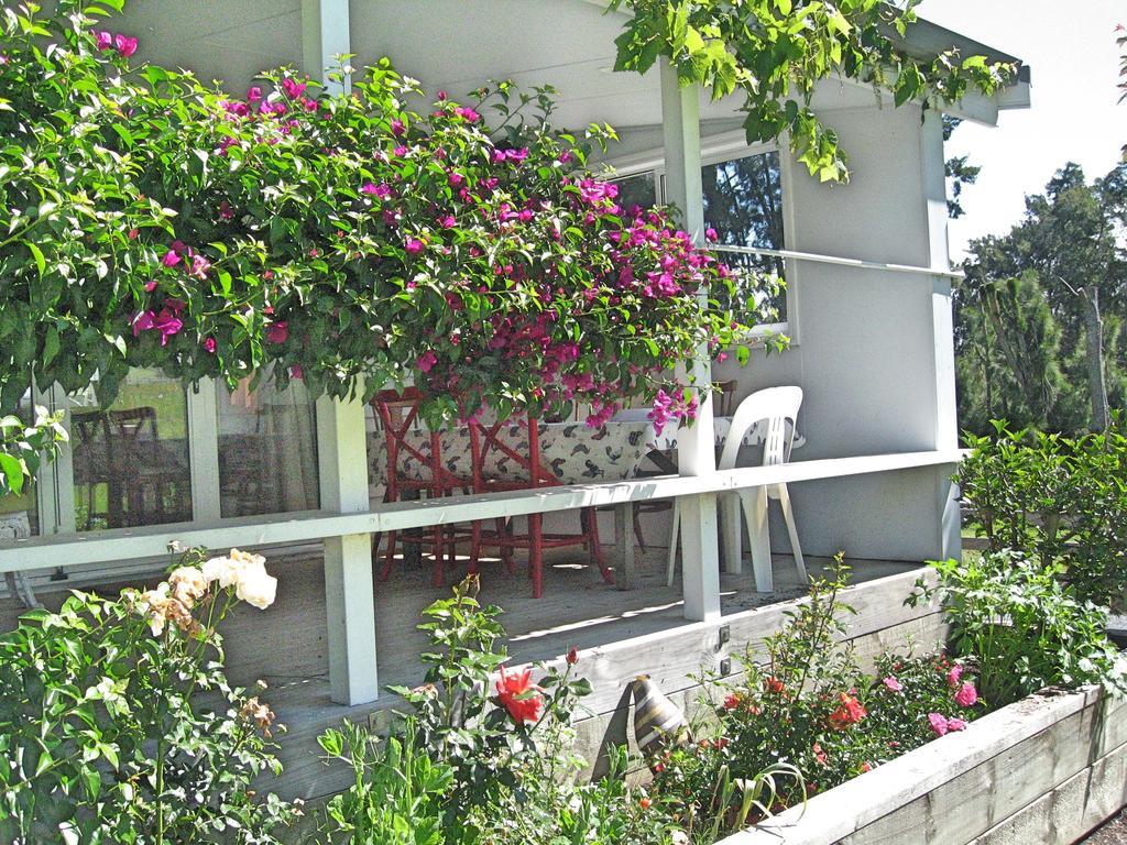 Miranda Orchard Cottage מראה חיצוני תמונה
