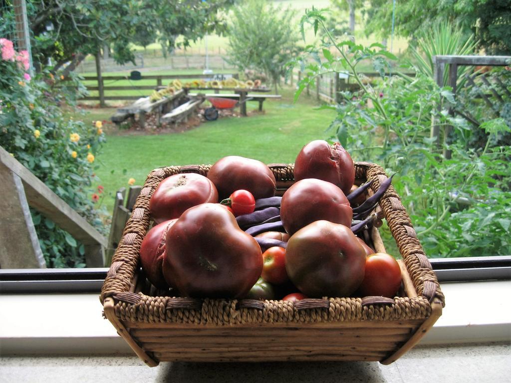 Miranda Orchard Cottage מראה חיצוני תמונה