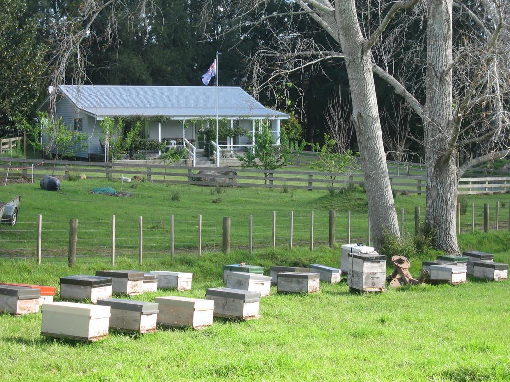 Miranda Orchard Cottage מראה חיצוני תמונה
